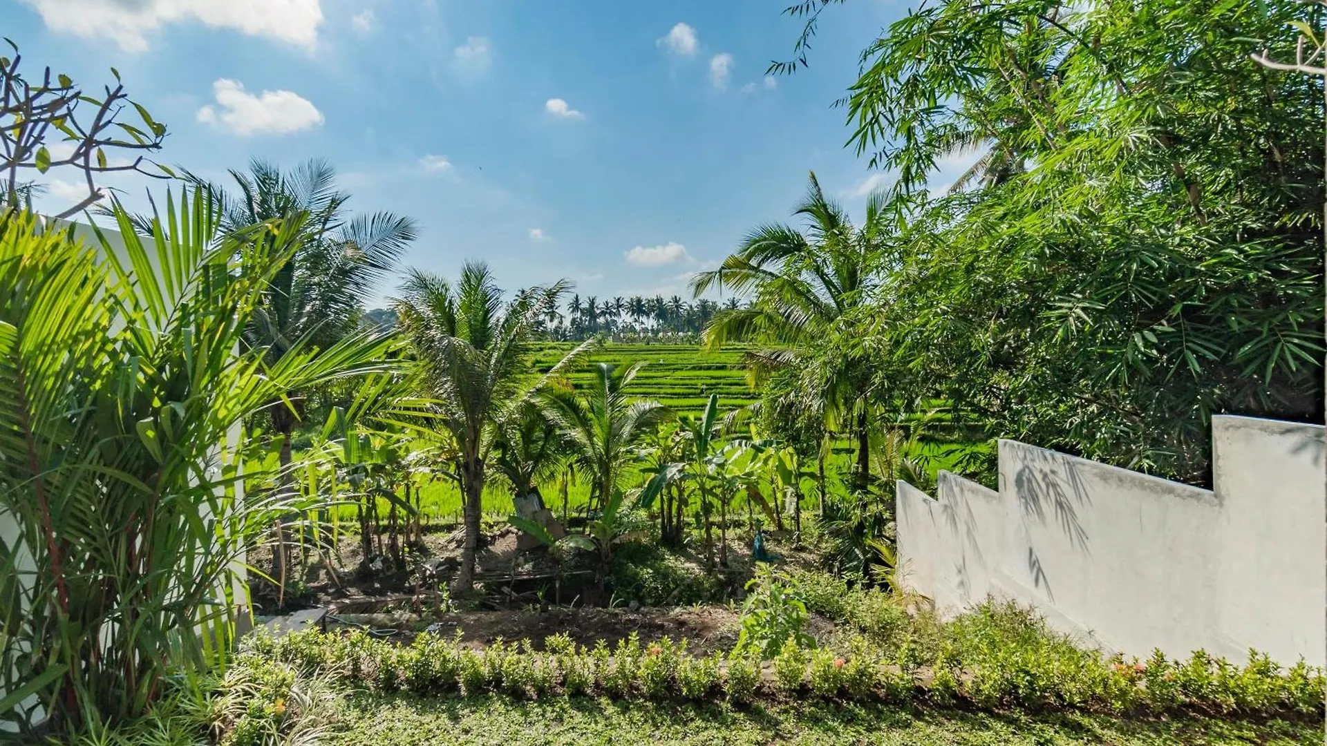 Villa Padi Luwih Ubud